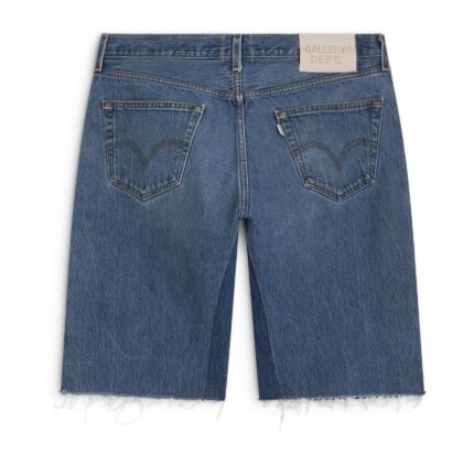 Ventura Shorts 1